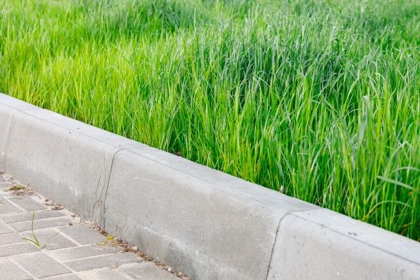 Concrete Curb Repair in Cedar Rapids