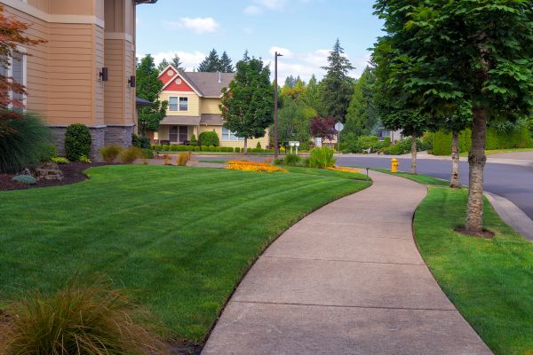 Sidewalk Patching in Cedar Rapids