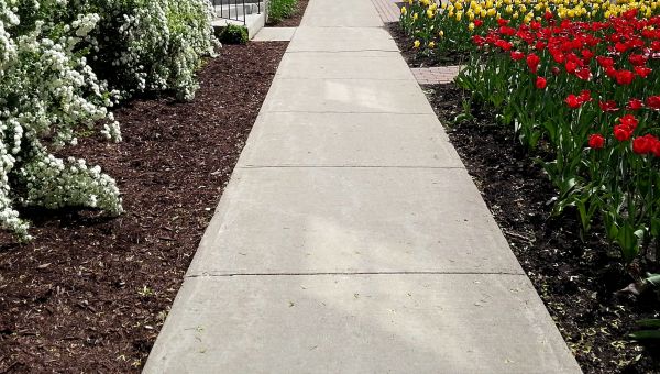 Concrete Pathway Repair in Cedar Rapids