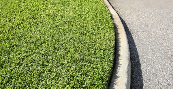 Driveway Curb Repair in Cedar Rapids